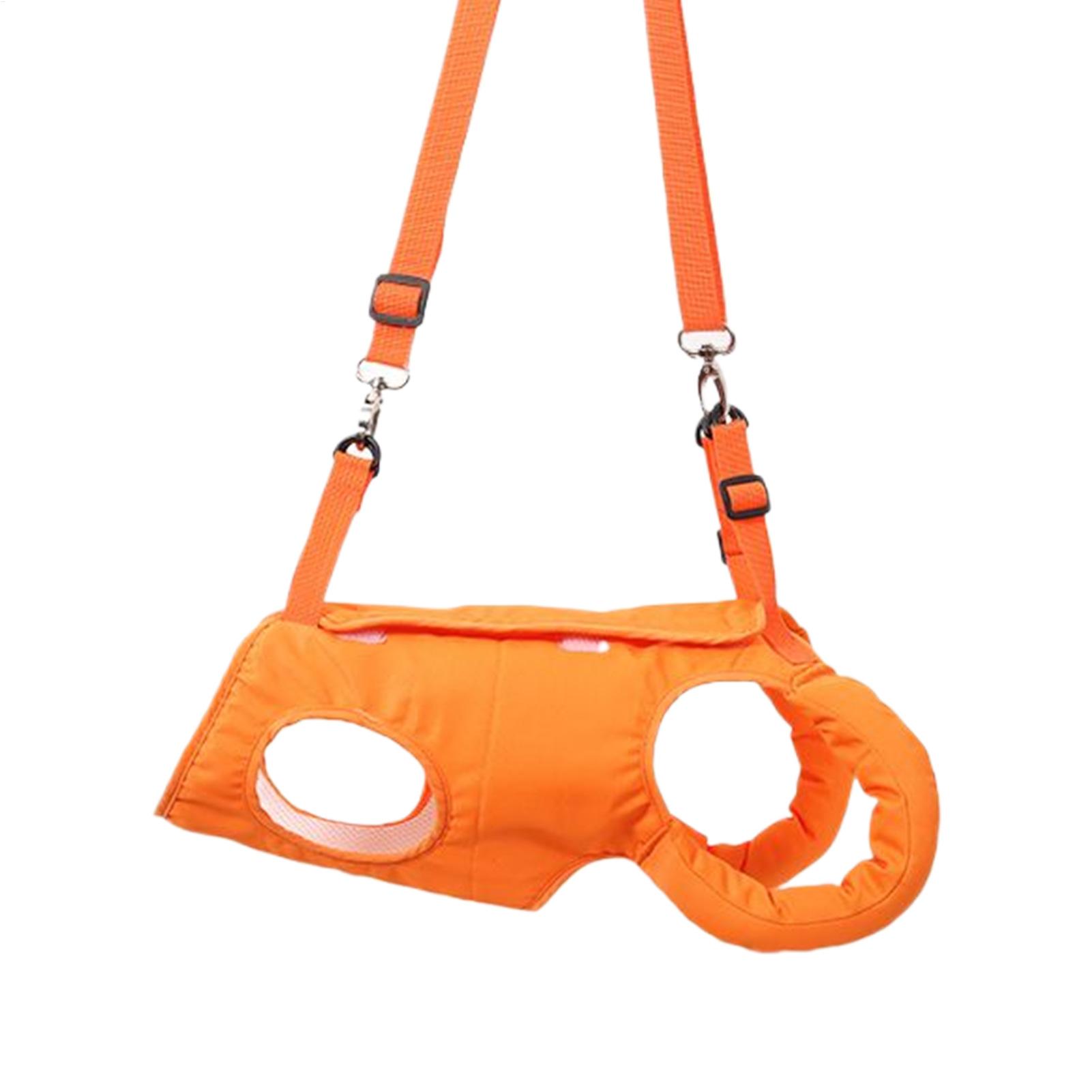 Ladder Toss Set - Grand porte-élingue pour chien, aide aux