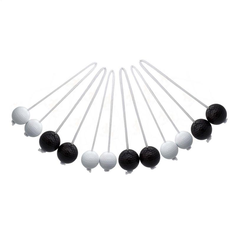 Échelle lancer balles échelle  - Ladder Toss Set avis et prix
