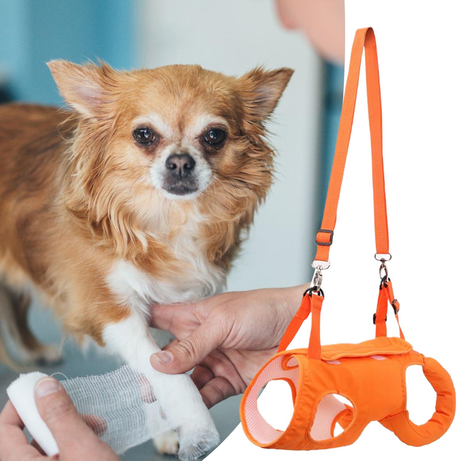 Grand porte-élingue pour chien - Ladder Toss Set avis et prix
